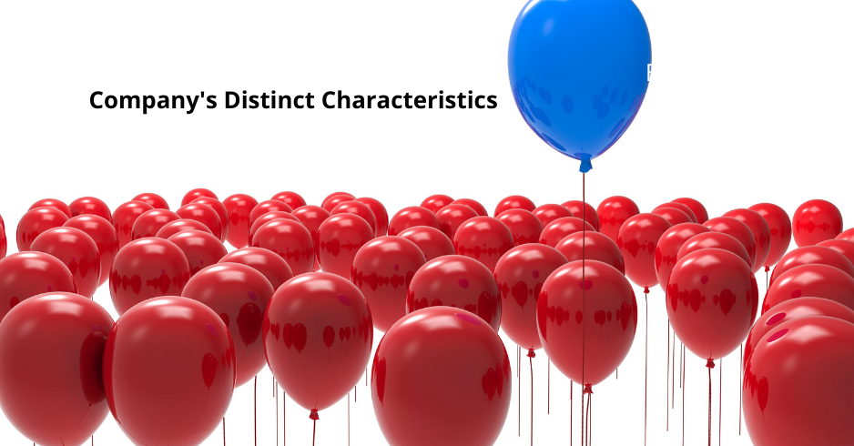 Determine The Company's Distinct Characteristics